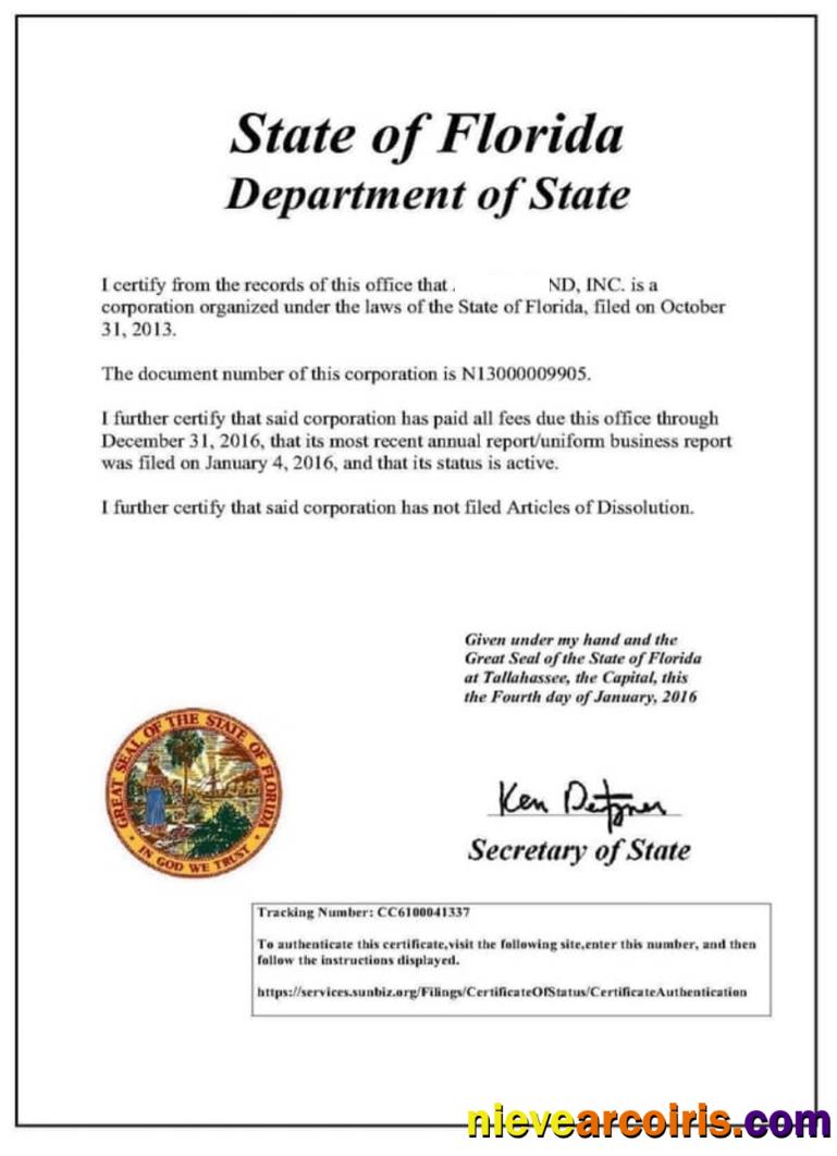 USA Florida certificate of good standing